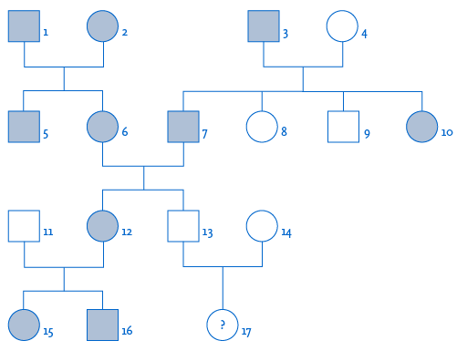 Darstellung eines Erbgangs: Nach der allgemeingültigen Notation sind Männer als Quadrate und Frauen als Kreise dargestellt. Dunkel ausgefüllte Formen sind Merkmalsträger, während weiße Formen keine phänotypischen Merkmale aufweisen.