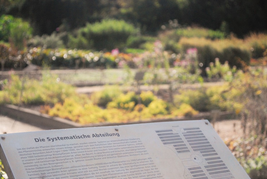 Systematische Abteilung des Botanischen Gartens
Quelle: S. Reichert