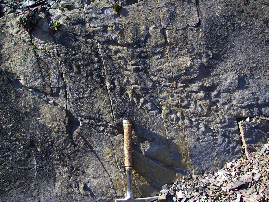 Geologenhammer als Maßstab vor dem Gestein Grauwacke (Harz)
Quelle: E. Scheuber