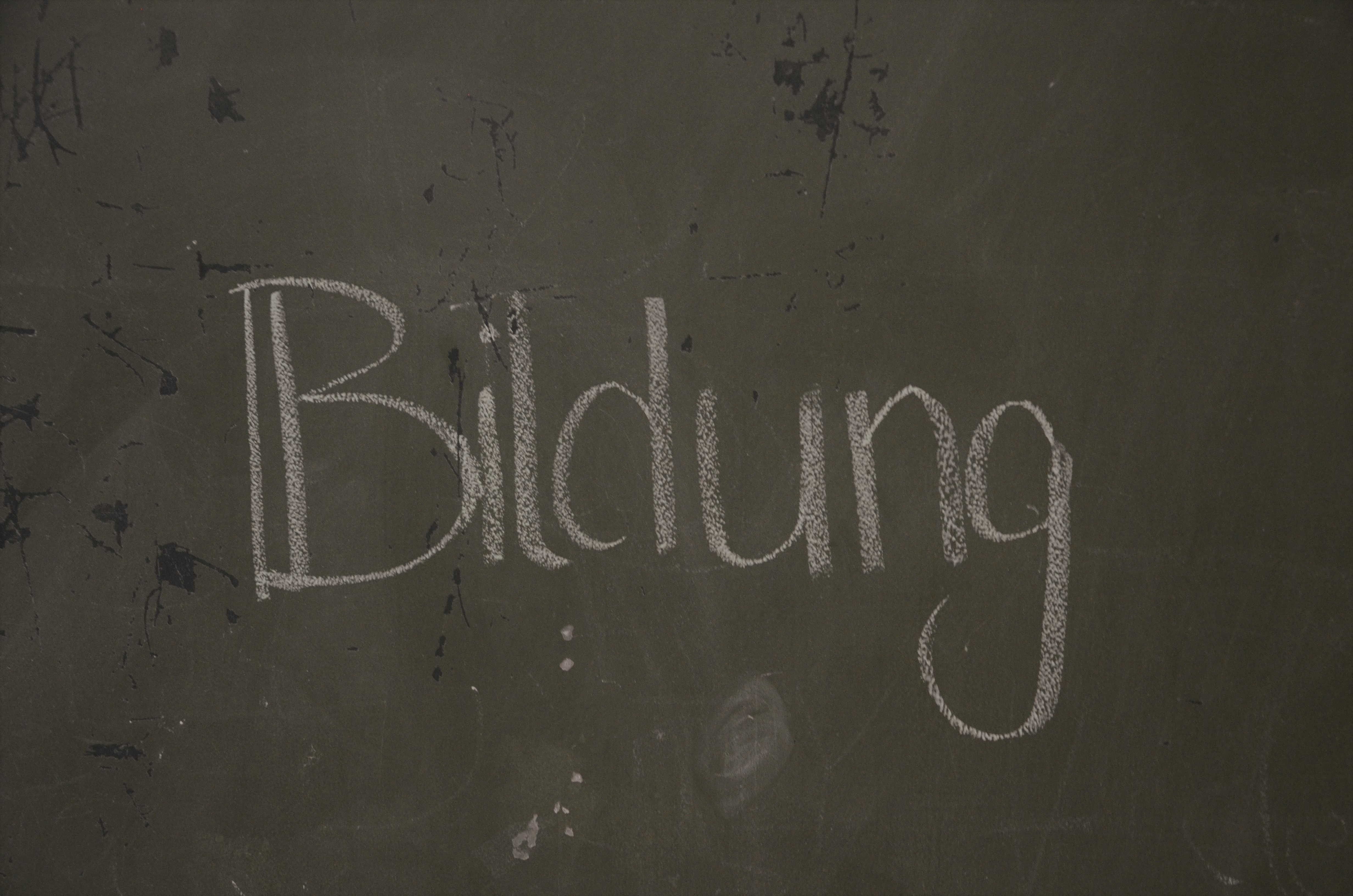 Bildung und Erziehung (Quelle: Lisa Ann Tinkl)