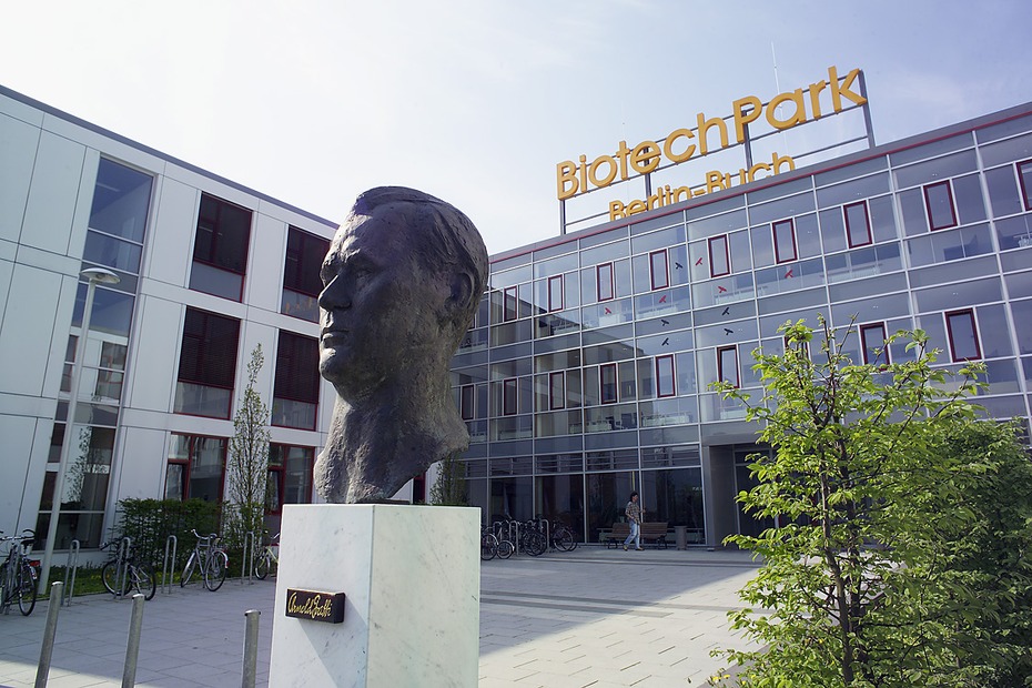 Berlin offers our students the full range of biotech companys reaching from small biotech startup in so-called "biotech parks" (e.g. the Buch biotech park)...