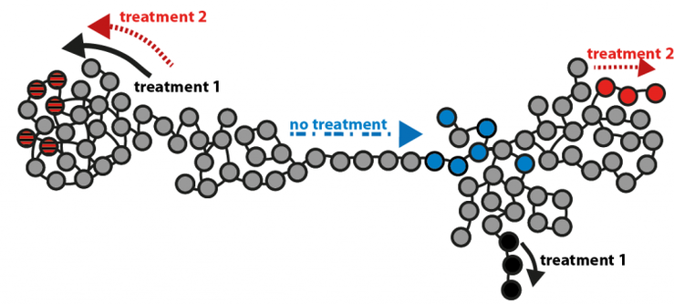 Resistance pathways in a virus