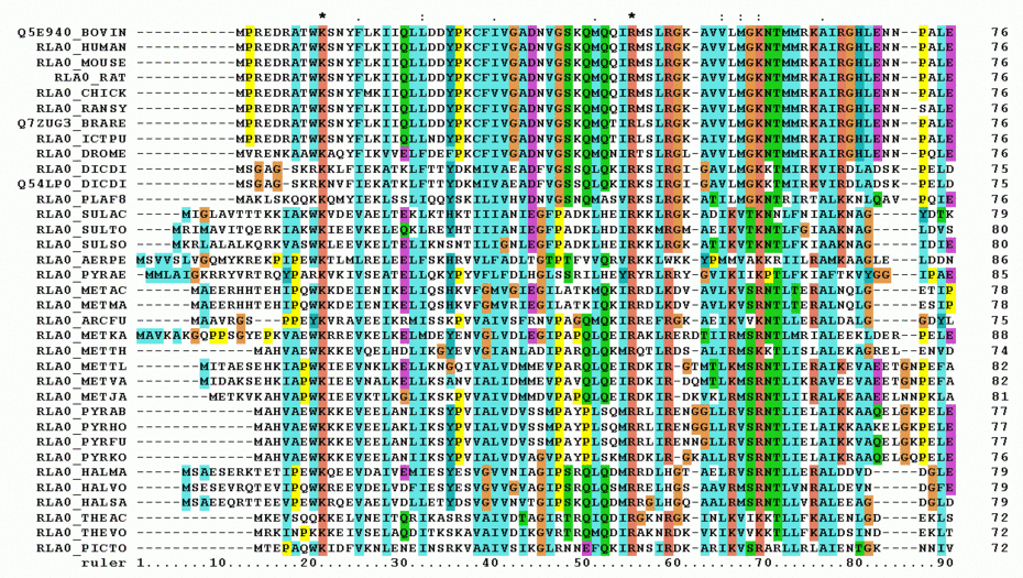 Representation of a protein multiple sequence alignment