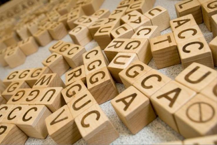 RNA codons with associated amino acid