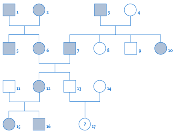Stammbaumanalyse blutgruppen