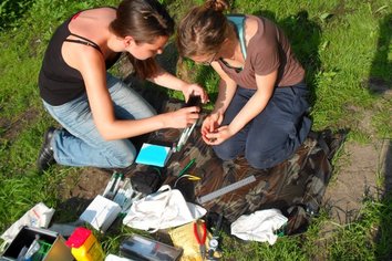 Exkursion: Probennahme
Quelle: Conny Bartsch und Julia Stremel