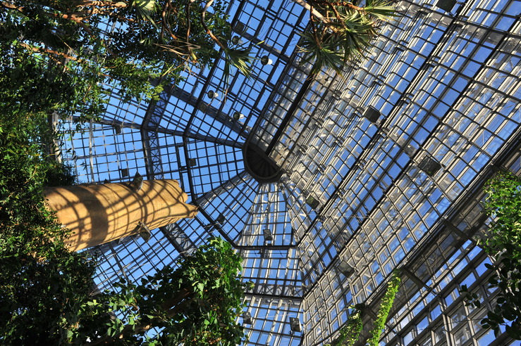 Großes Tropenhaus des Botanischen Gartens
Quelle: Bernd Wannenmacher