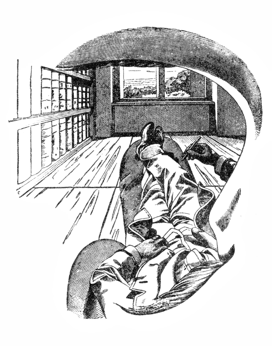 Ernst Mach: Inner perspective (self portrait)