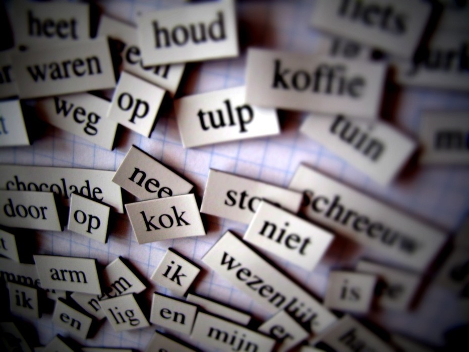 Niederländische Wörter