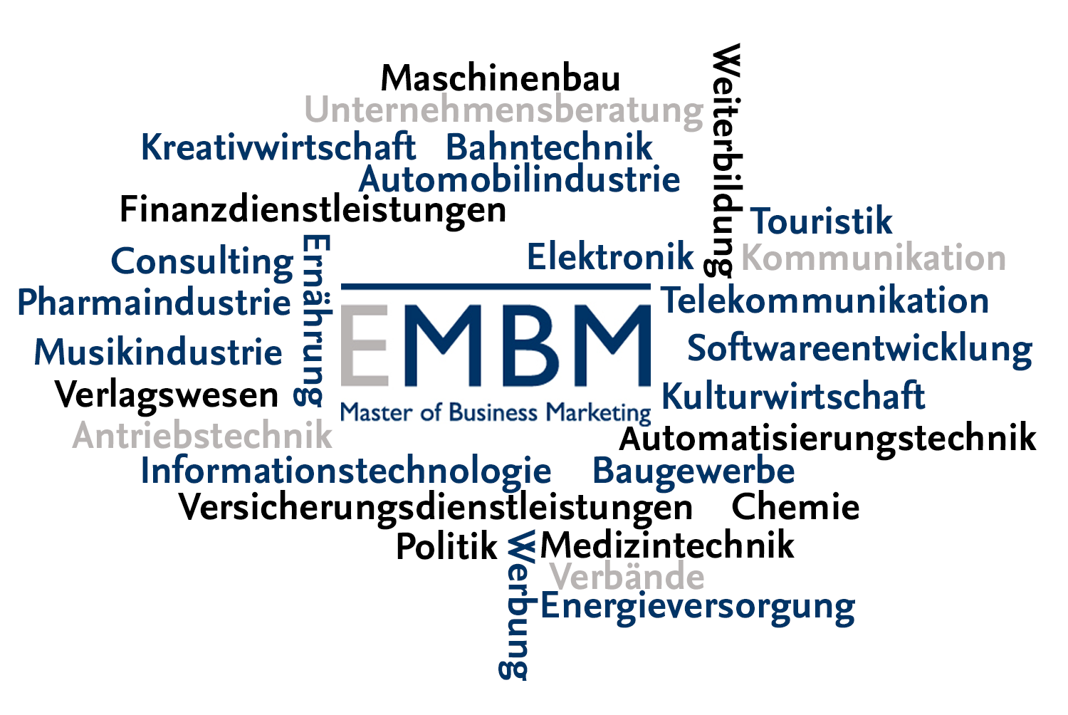 Beispiele von Branchen der EMBM-Alumni