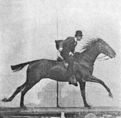 Serienfotografie eines galoppierenden Pferdes von Eadweard Muybridge, erstmals veröffentlicht 1887