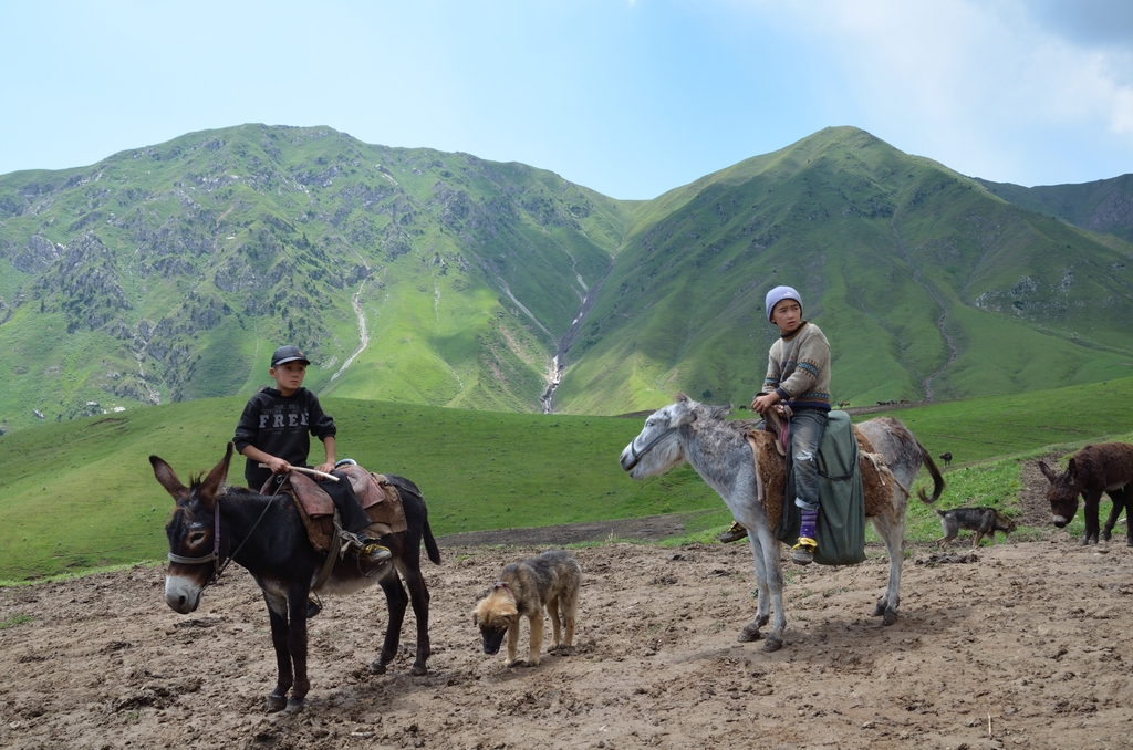Kirgisische Kinder beim Hüten von Vieh
Quelle: S. Schütte