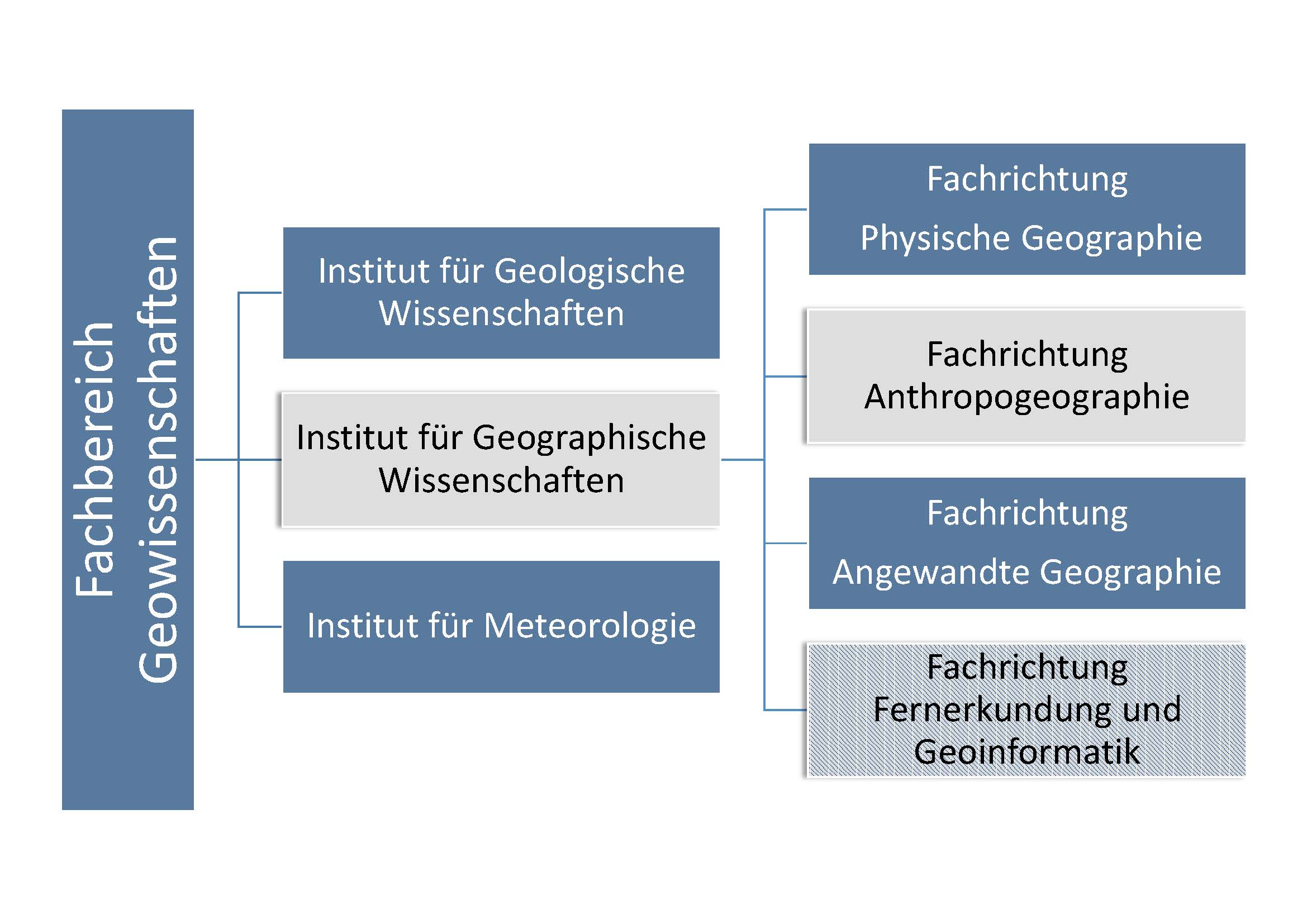 Aufbau des Fachbereichs