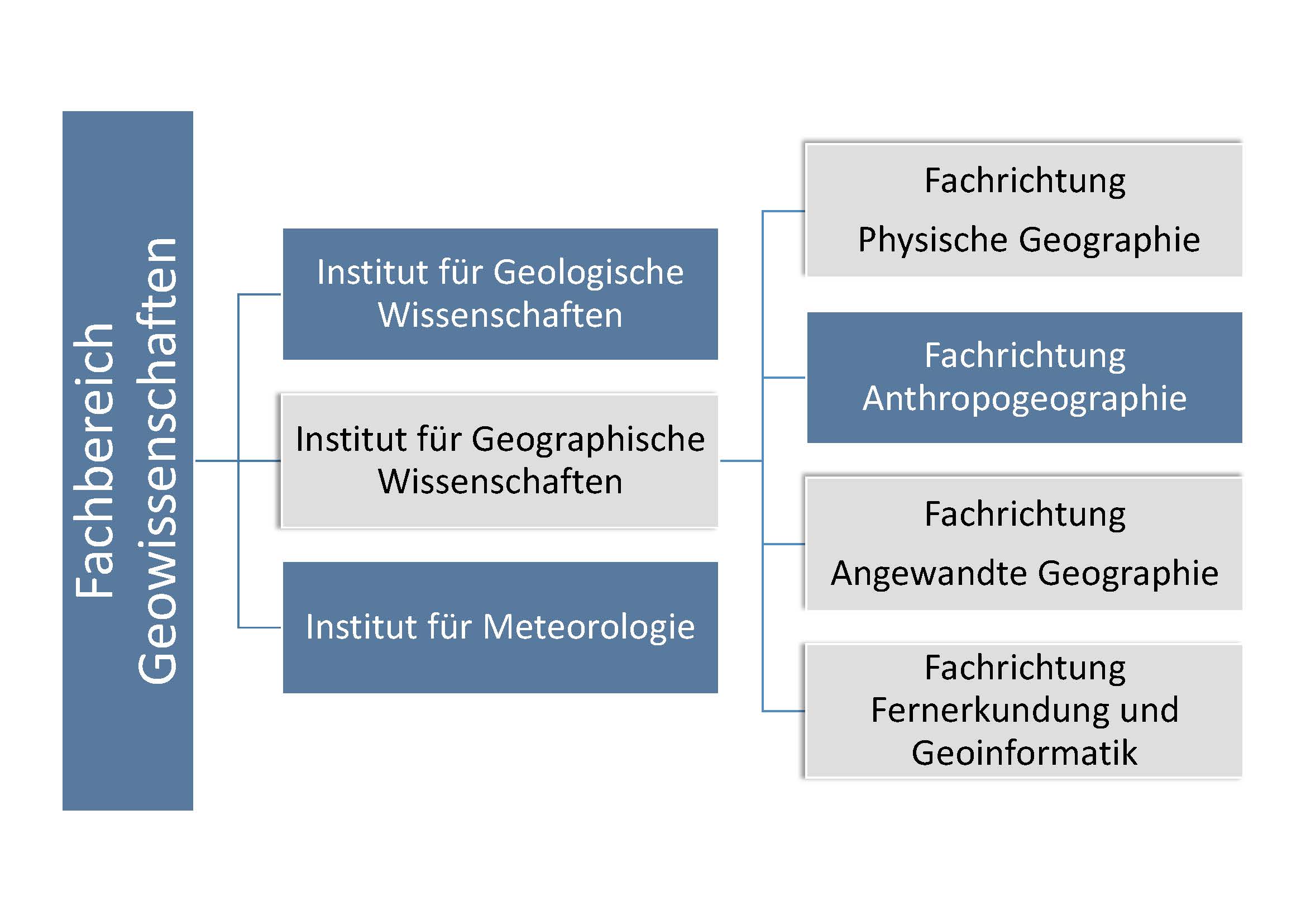 Aufbau des Fachbereichs