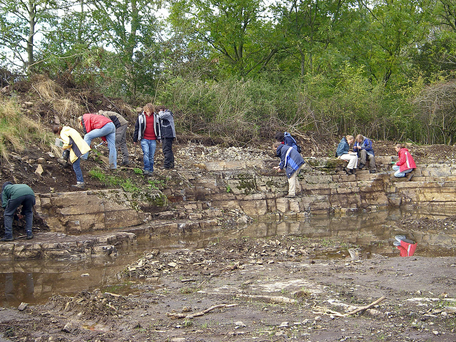 Studierende bei der Fossiliensuche
Quelle: E. Scheuber