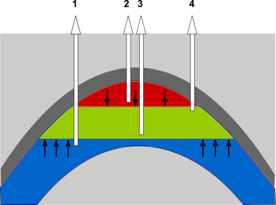 Vereinfachter schematischer geologischer Querschnitt durch ein Ölfeld
Quelle: Ch. Heubeck