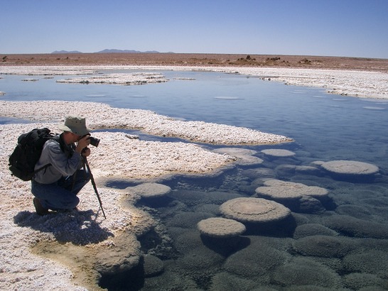 Gipskristalle in einem Salar der Atacama-Wüste
Quelle: Ch. Heubeck