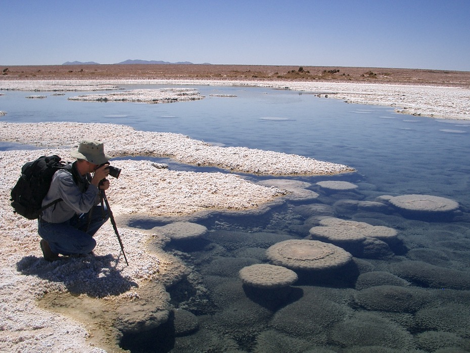 Gipskristalle in einem Salar der Atacama-Wüste
Quelle: Ch. Heubeck