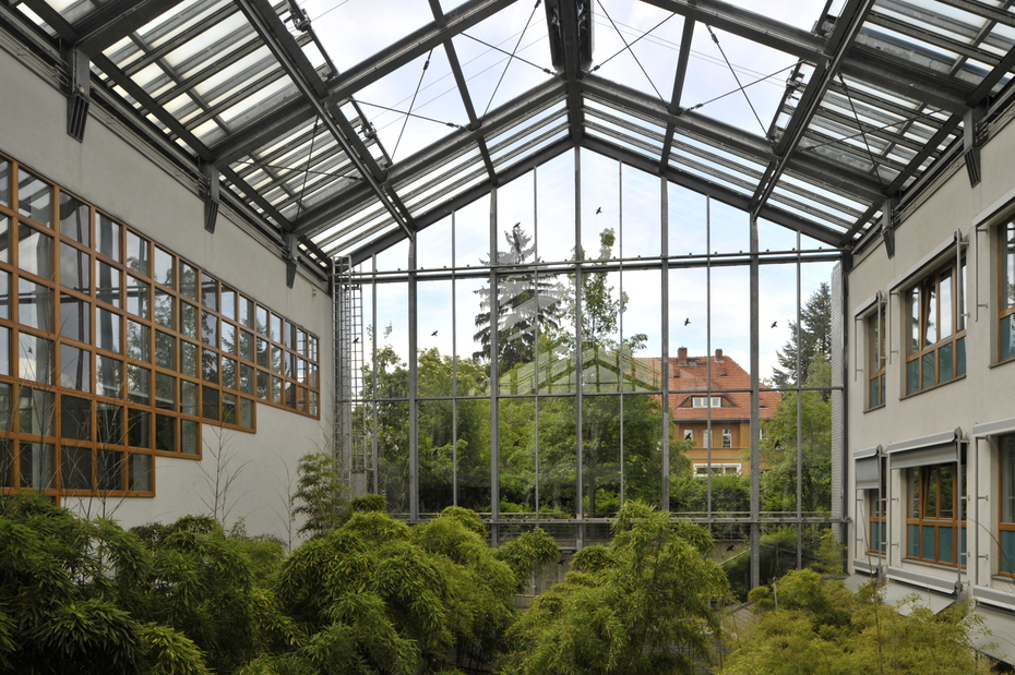 Wintergarten im Institut für Informatik
Quelle: Bernd Wannenmacher