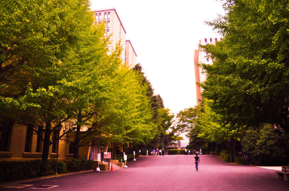 Waseda Universität
