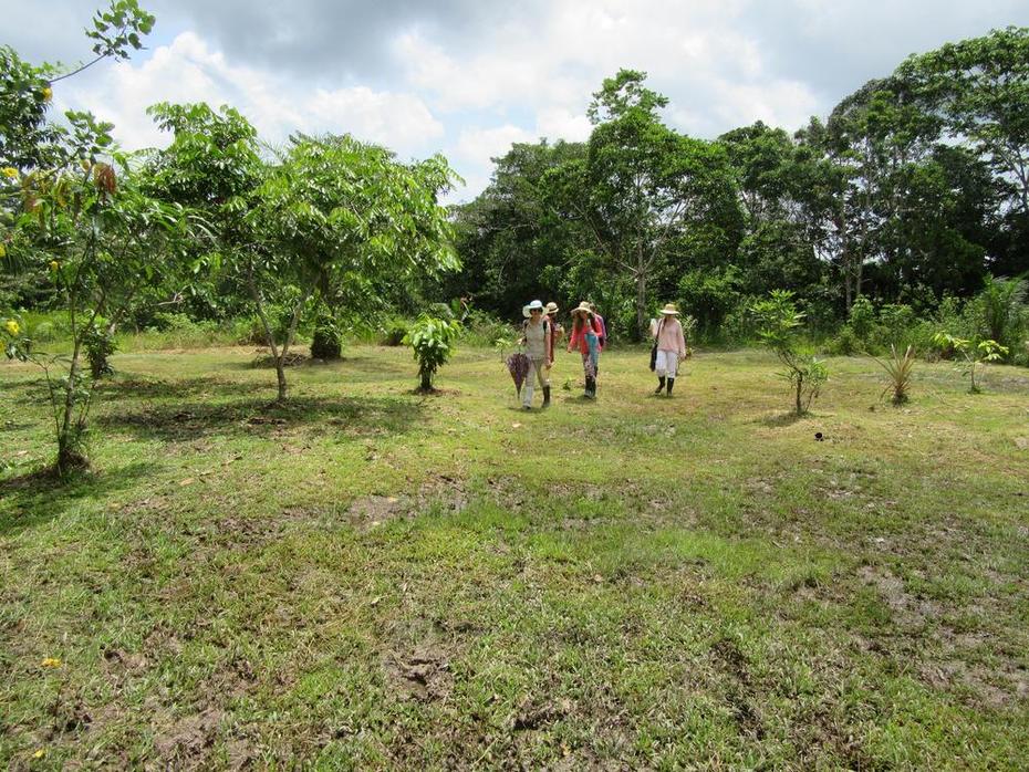 Excursión de investigación del LAI a Colombia