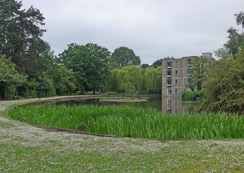 York University