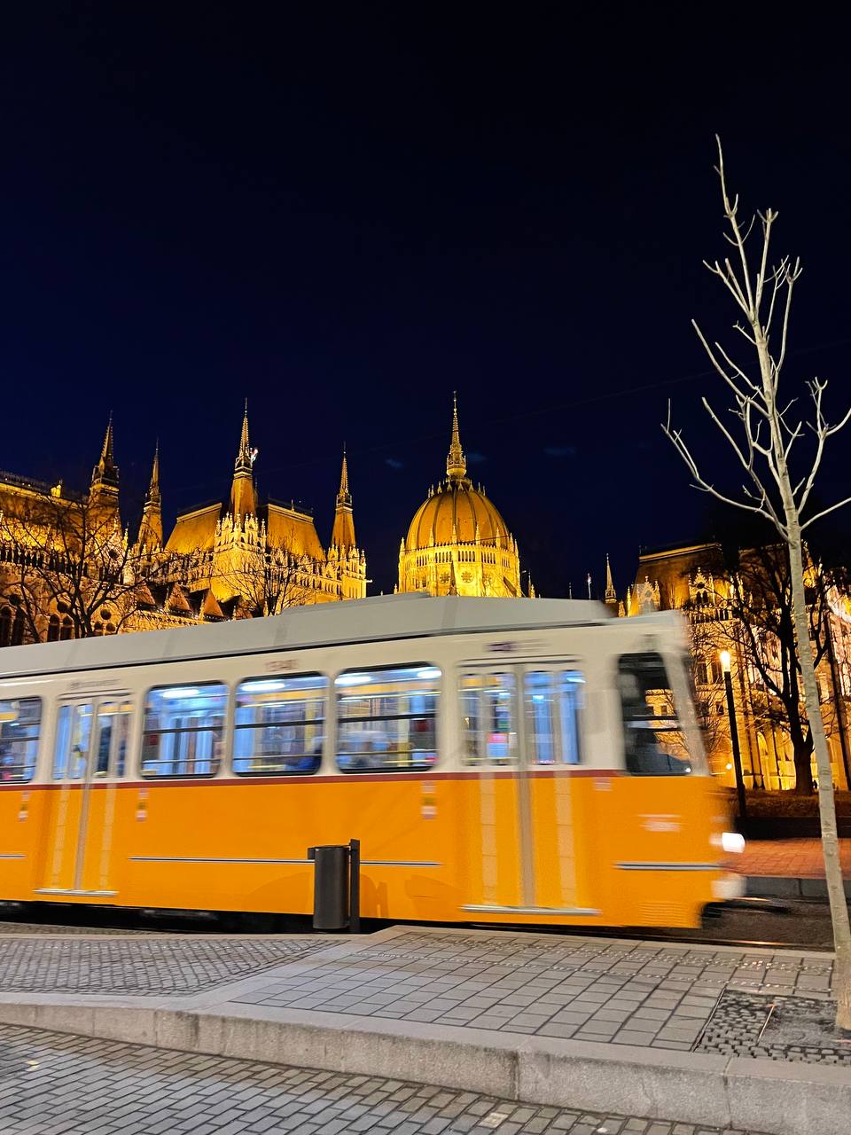 Das OEI hat zwei Partneruniversitäten in Budapest