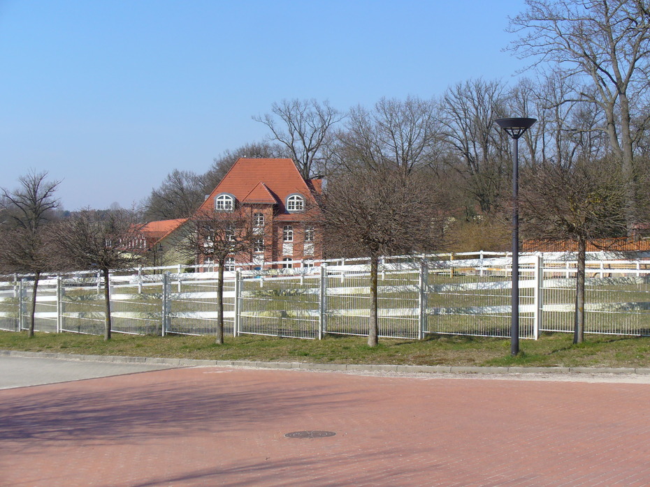 Koppel in Bad Saarow
Quelle: Christiane Siegling-Vlitakis