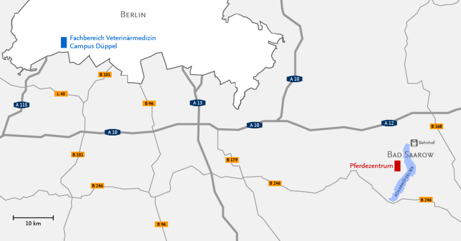 Übersichtskarte der beiden Studienstandorte Bad Saarow und Berlin
Quelle: CeDiS