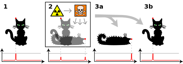 Gedankenexperiment zu Schrödingers Katze