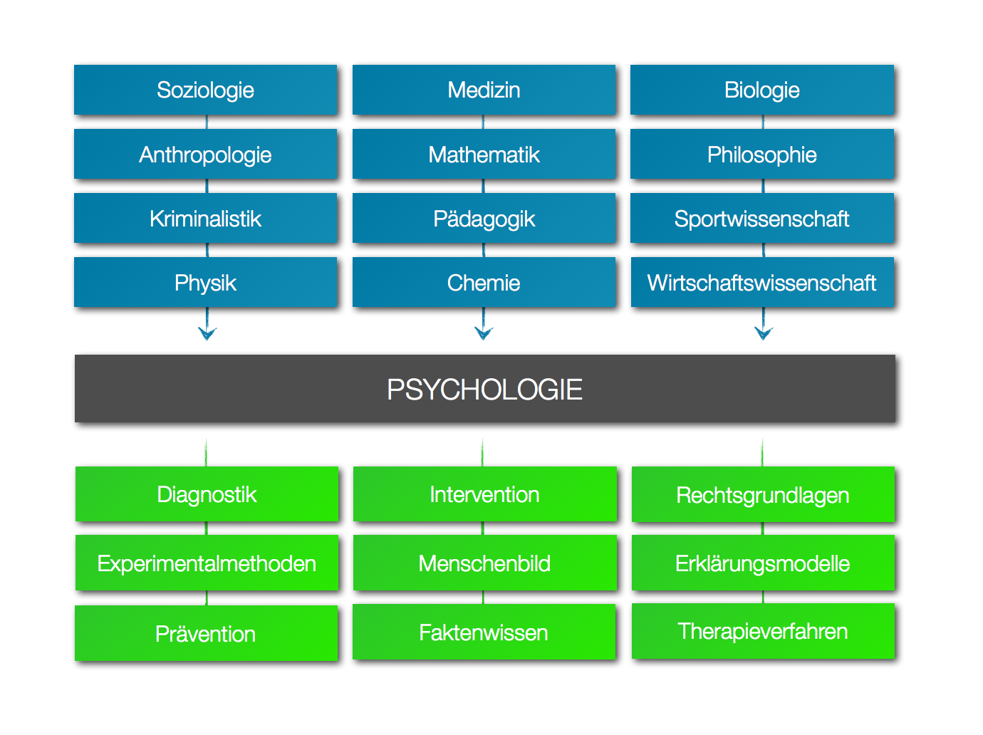 Psychologie als Wissenschaft
Quelle: Toni Muffel