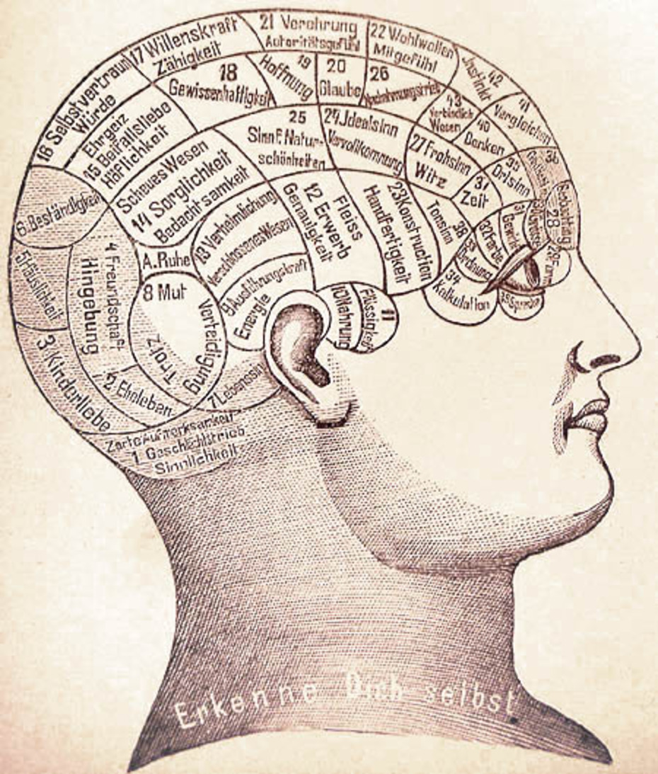 Phrenologie war ein früher Versuch, verschiedene Regionen des Gehirns mit bestimmten Aufgaben zu verknüpfen.