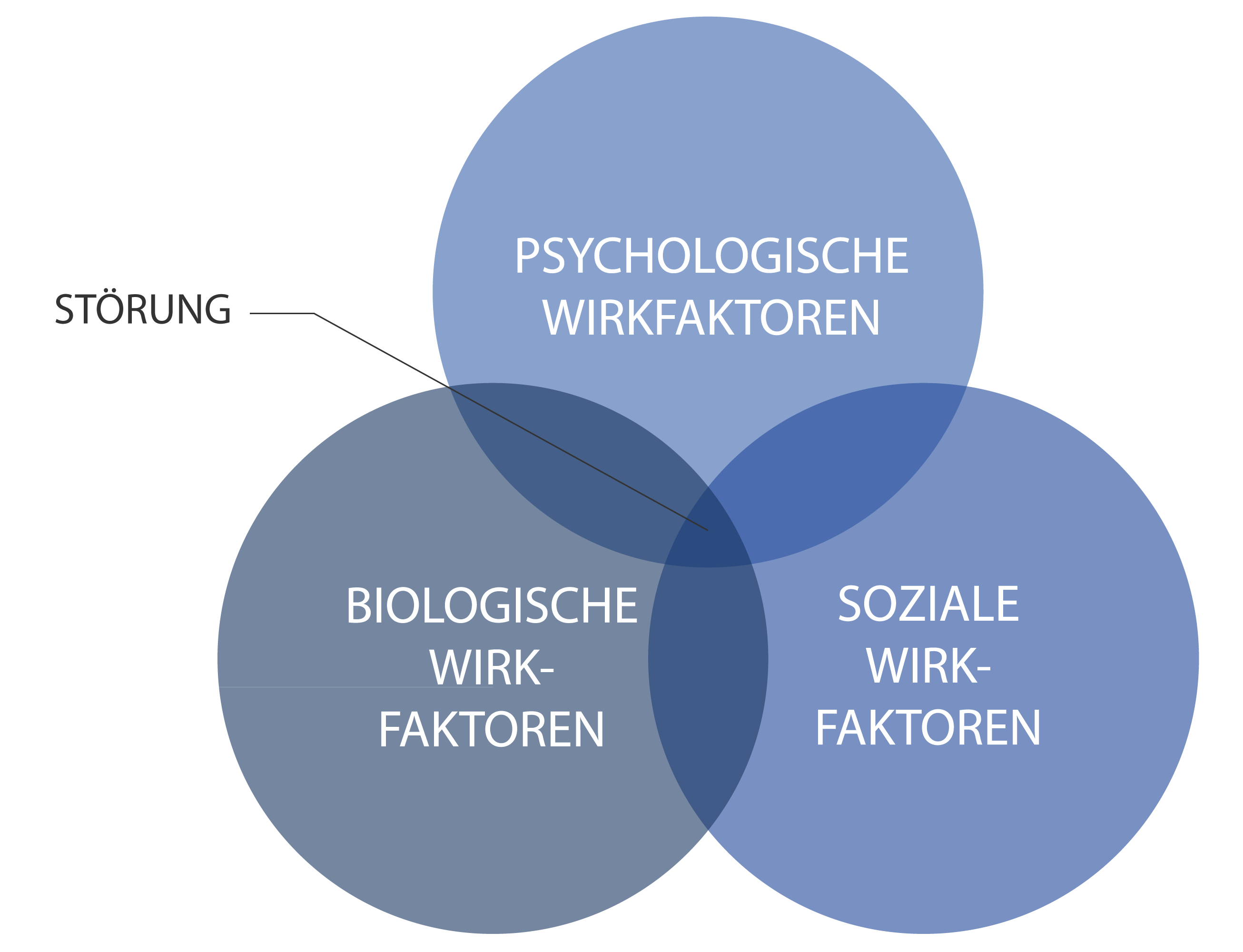 Das biopsychosoziale Modell
Quelle: Toni Muffel