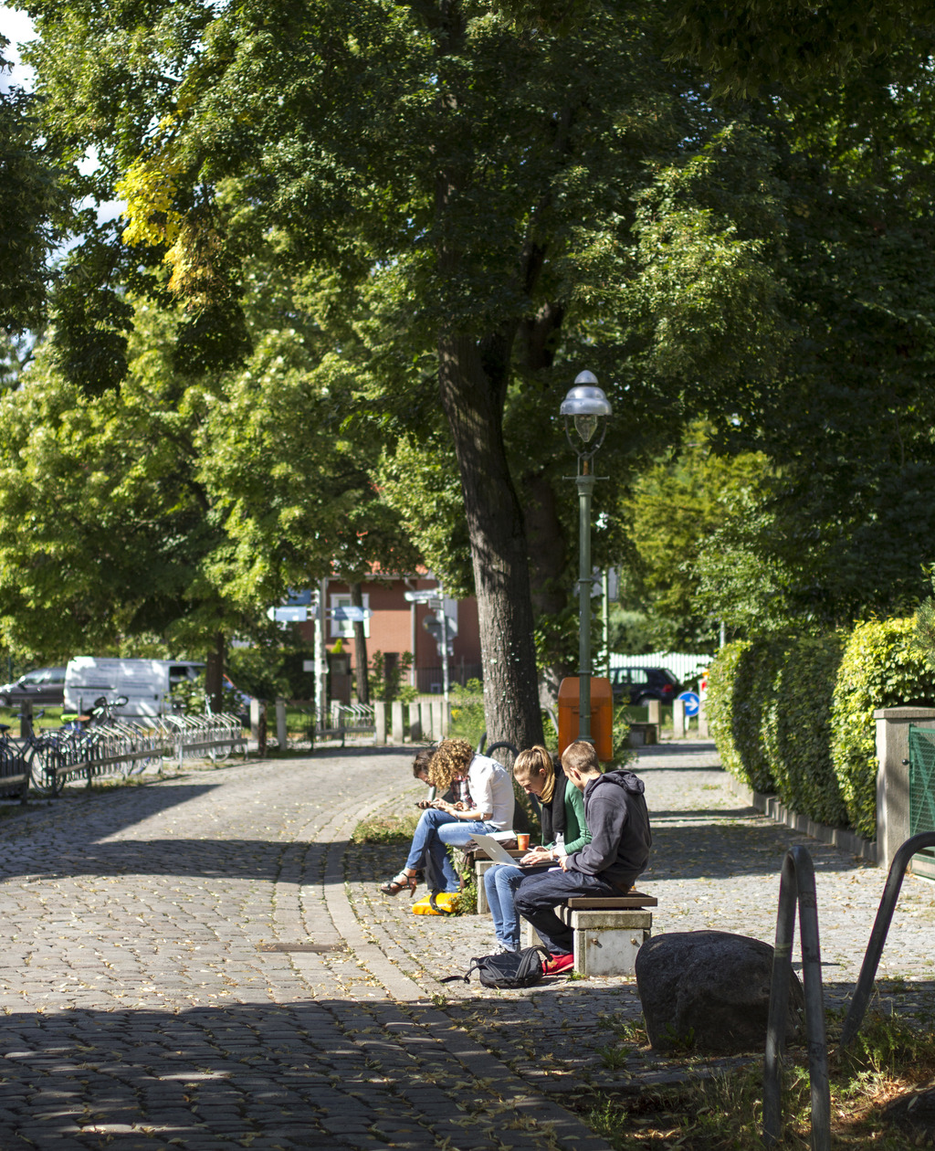 Lernen und Aufgaben lösen auf dem grünen Campus Dahlem
Quelle: Toni Muffel