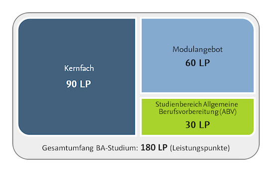 Kombinations-Bachelor (Variante 1)