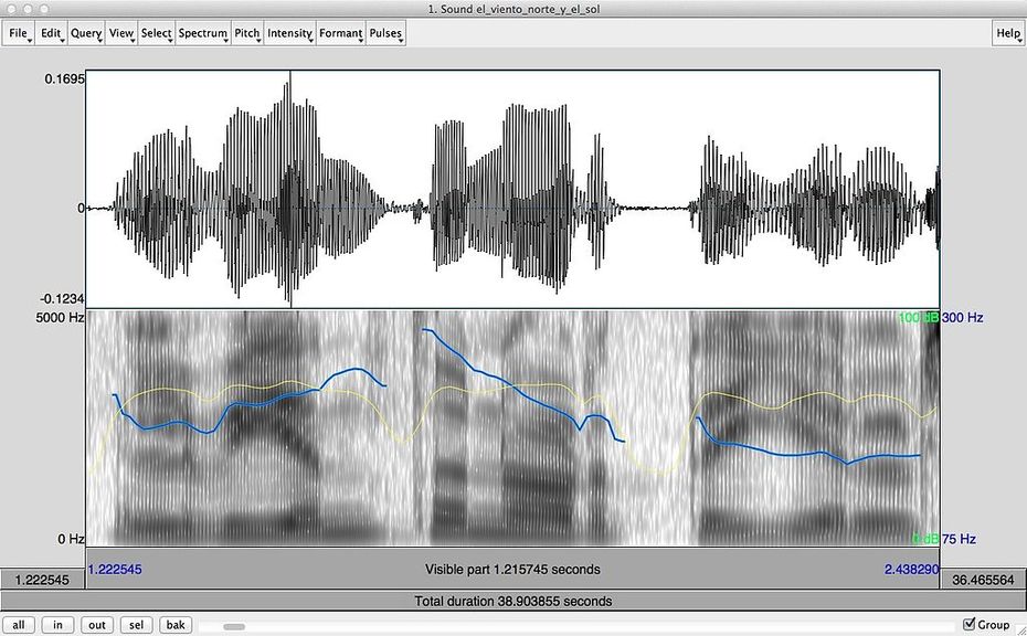 Gesprochene Sprache sichtbar gemacht: Ein Spektrogramm aus der akustischen Analyse sprachlicher Signale.