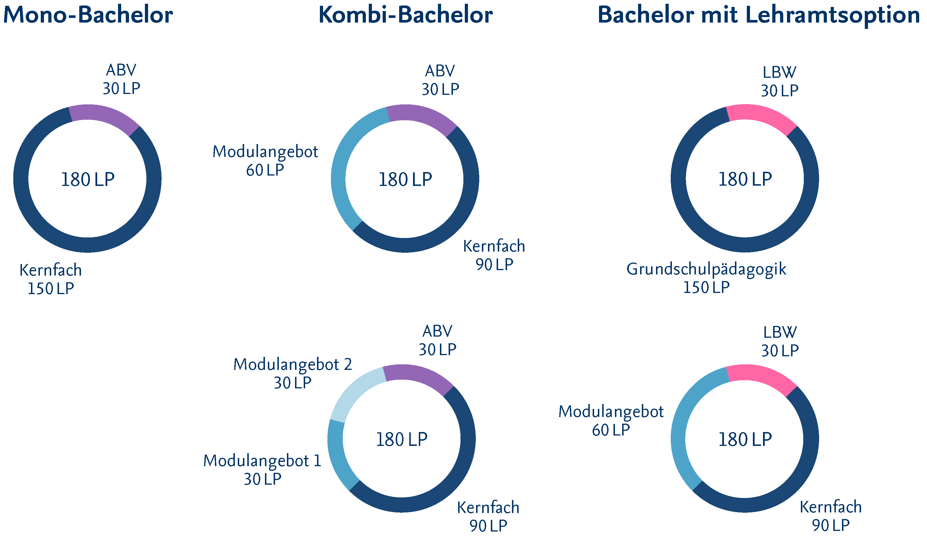 Struktur von Bachelorprogrammen