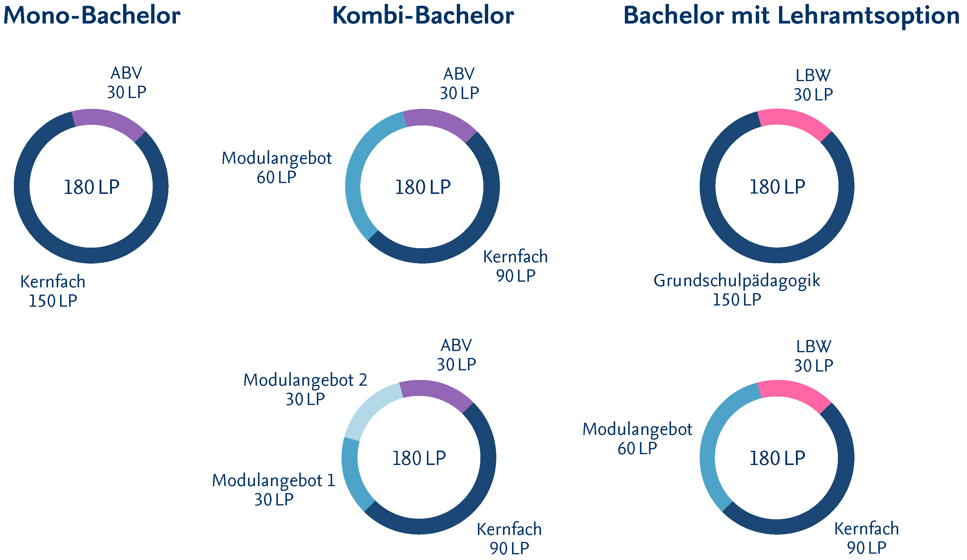 Struktur Bachelorprogramme