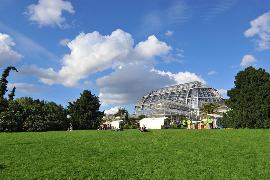 Großes Tropenhaus des Botanischen Gartens
Quelle: Bernd Wannenmacher