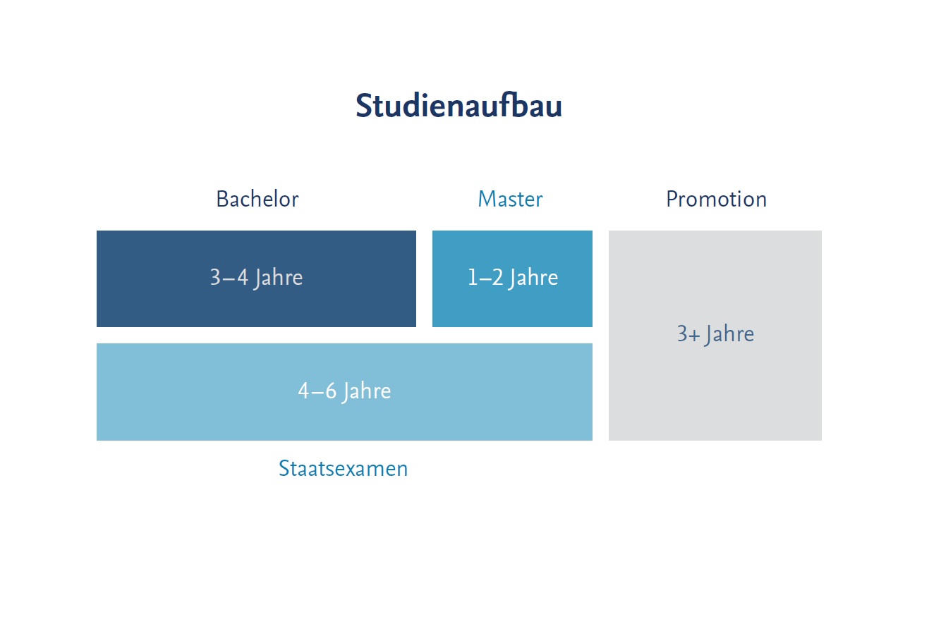 Struktureller Aufbau der Bachelorstudiengänge