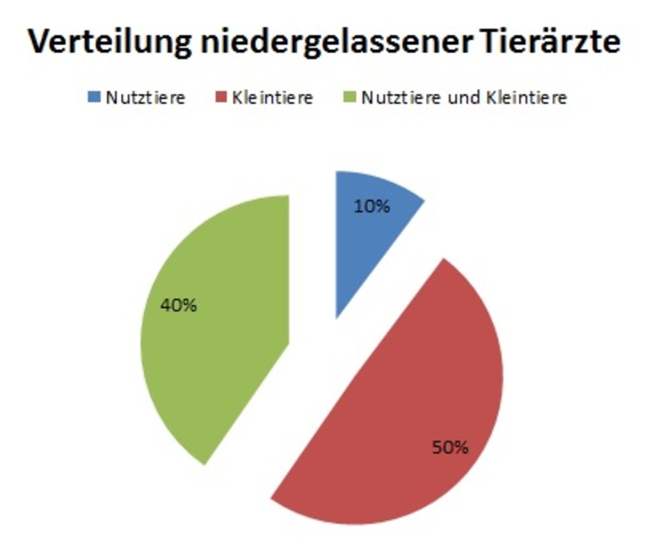 Verteilung niedergelassener Tierärzte
Quelle: Christiane Siegling-Vlitakis nach DTBl 06/2013