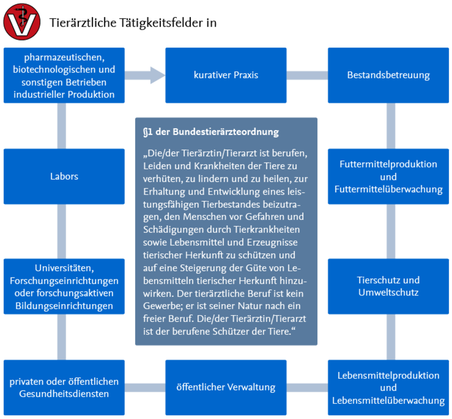 Tierärztliche Tätigkeitsfelder
Quelle: Christiane Siegling-Vlitakis